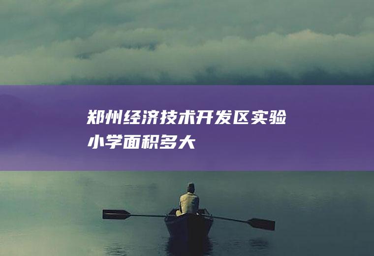 郑州经济技术开发区实验小学面积多大