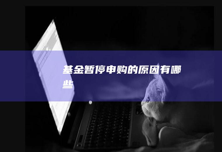 基金暂停申购的原因有哪些