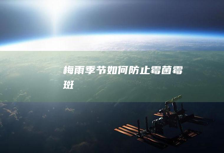 梅雨季节如何防止霉菌霉斑