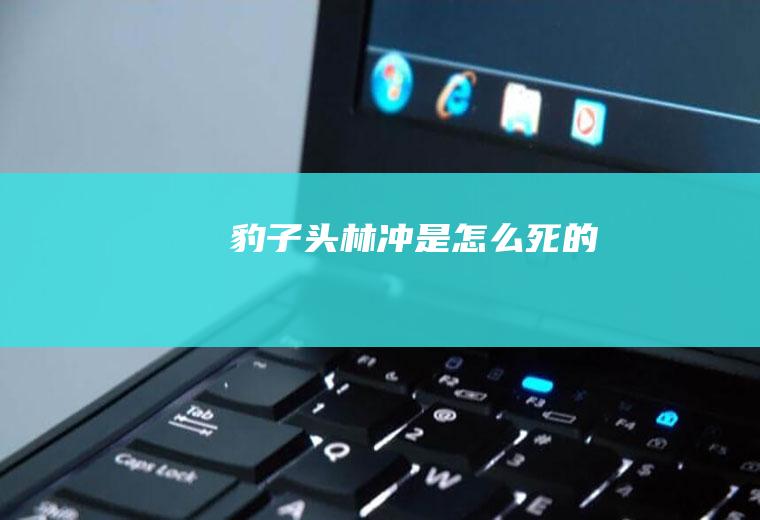 豹子头林冲是怎么死的
