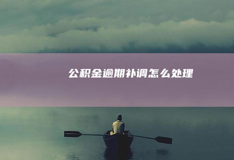 公积金逾期补调怎么处理