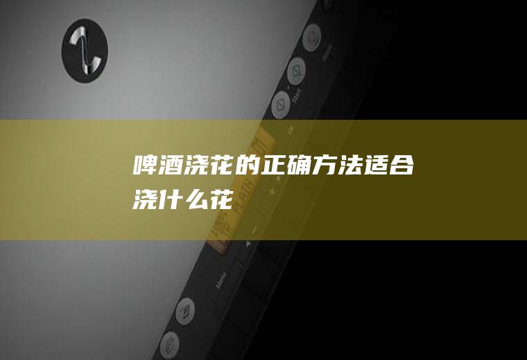 啤酒浇花的正确方法适合浇什么花