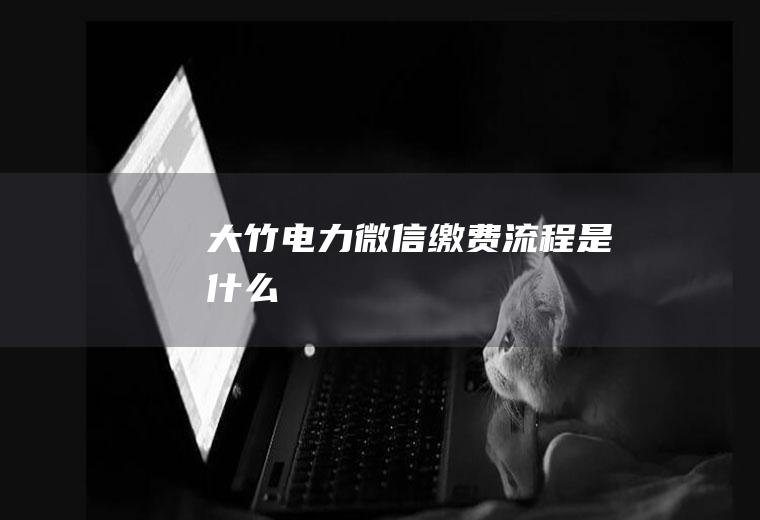 大竹电力微信缴费流程是什么