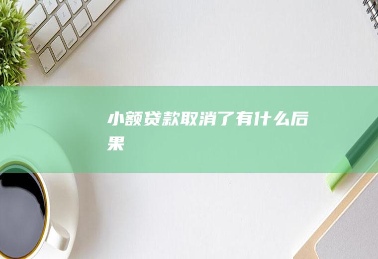 小额贷款取消了有什么后果