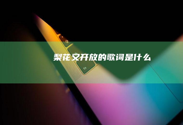 《梨花又开放》的歌词是什么