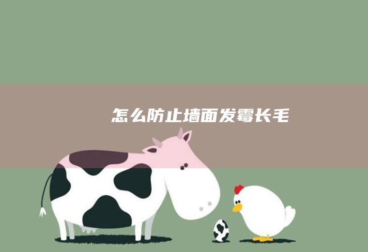 怎么防止墙面发霉长毛