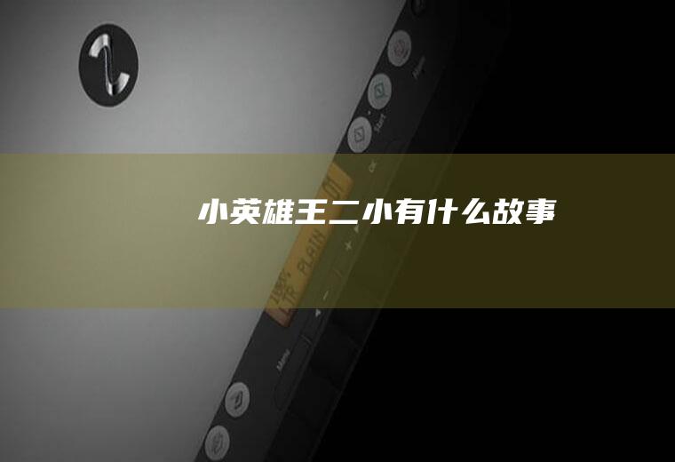 小英雄王二小有什么故事