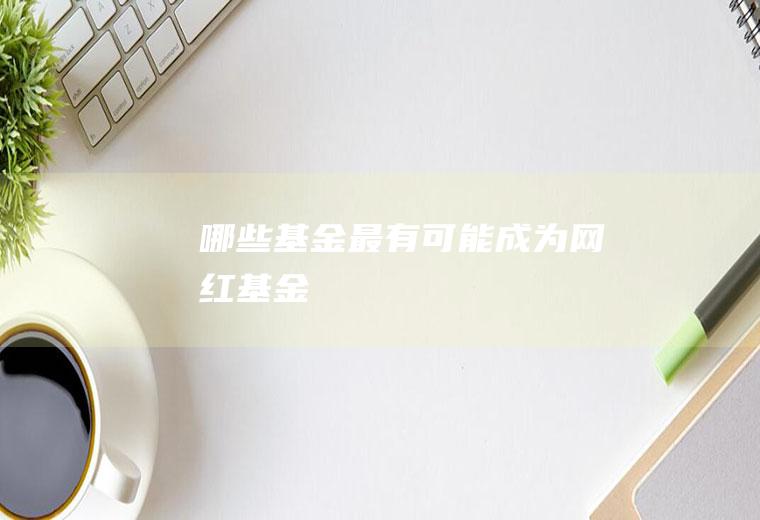 哪些基金最有可能成为网红基金
