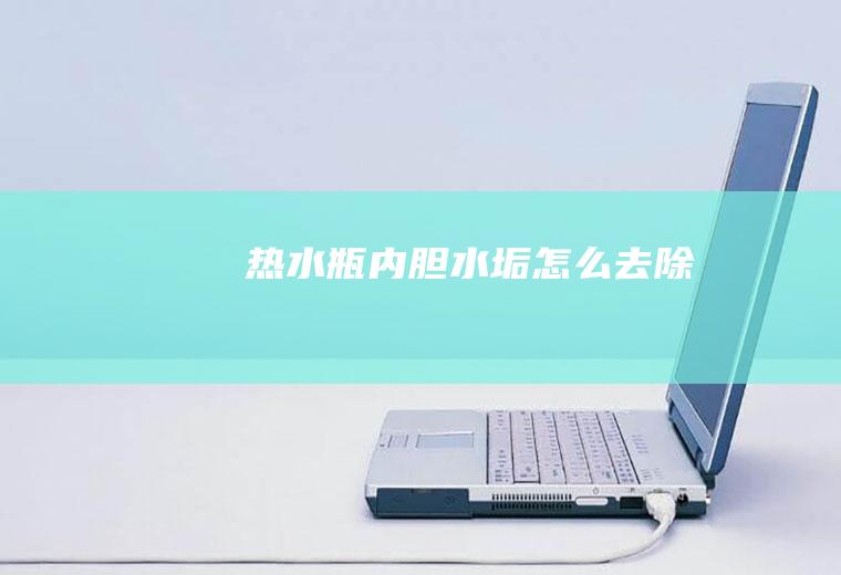 热水瓶内胆水垢怎么去除