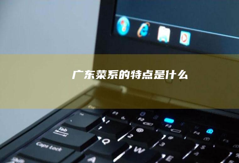 广东菜系的特点是什么