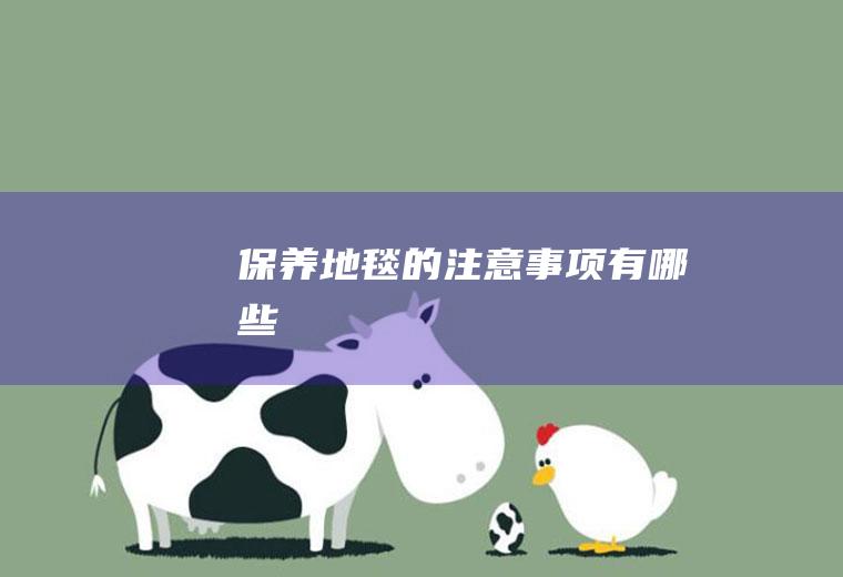 保养地毯的注意事项有哪些
