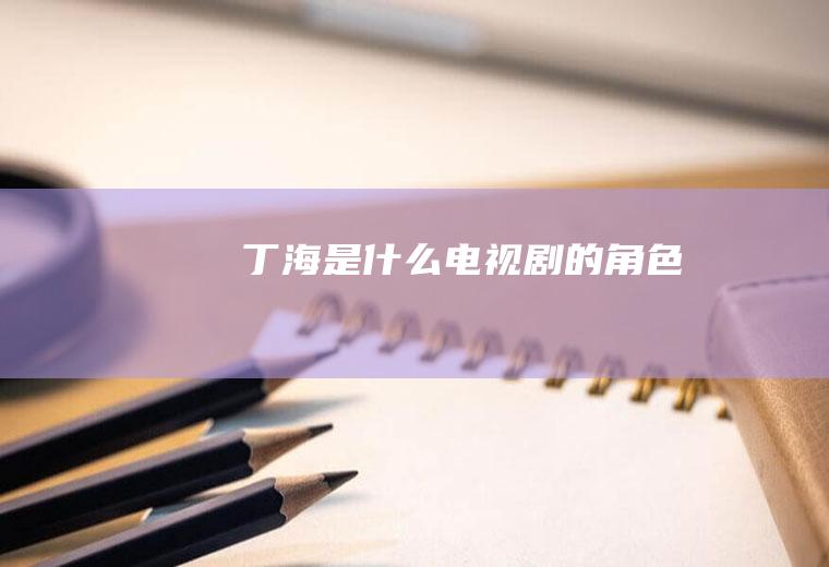 丁海是什么电视剧的角色