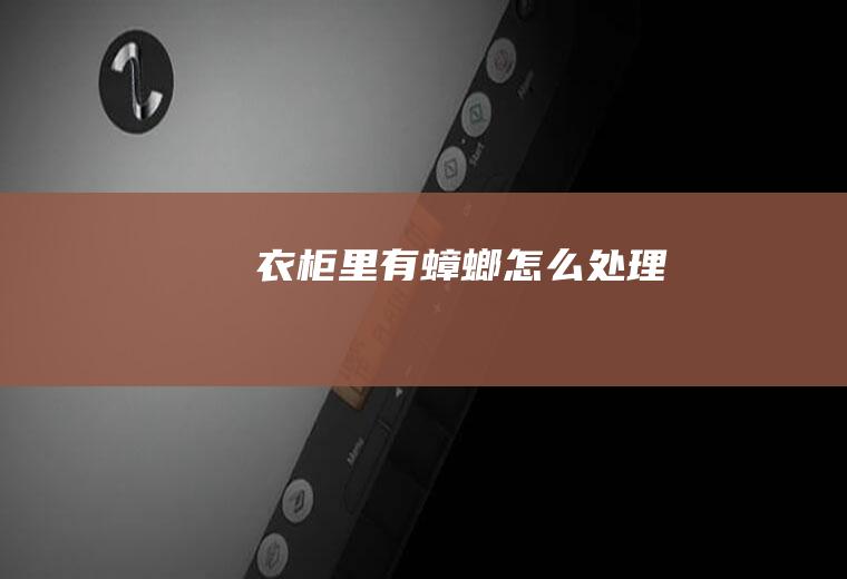 衣柜里有蟑螂怎么处理