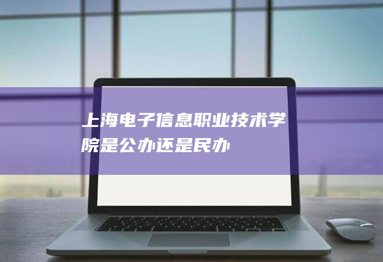 上海电子信息职业技术学院是公办还是民办