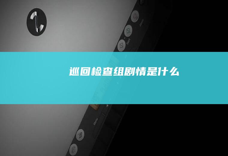 《巡回检查组》剧情是什么