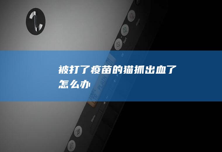 被打了疫苗的猫抓出血了怎么办