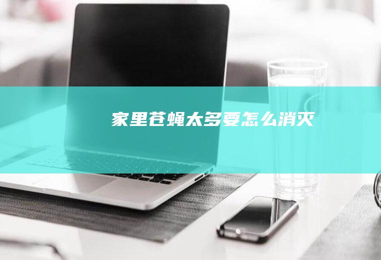 家里苍蝇太多要怎么消灭