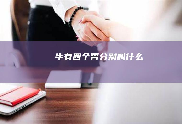 牛有四个胃分别叫什么