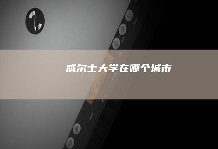 威尔士大学在哪个城市