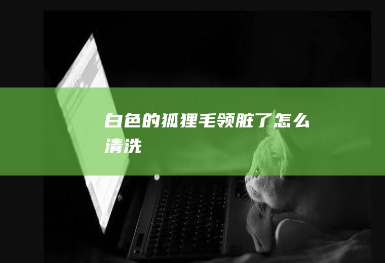 白色的狐狸毛领脏了怎么清洗