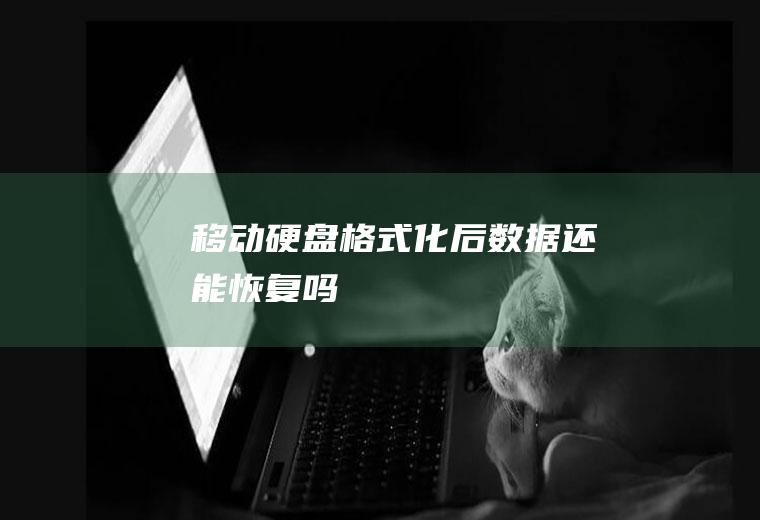 移动硬盘格式化后数据还能恢复吗