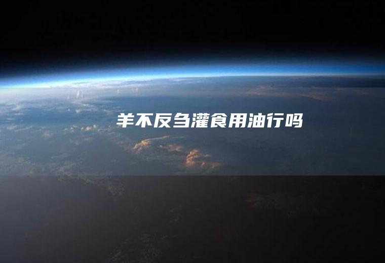 羊不反刍灌食用油行吗