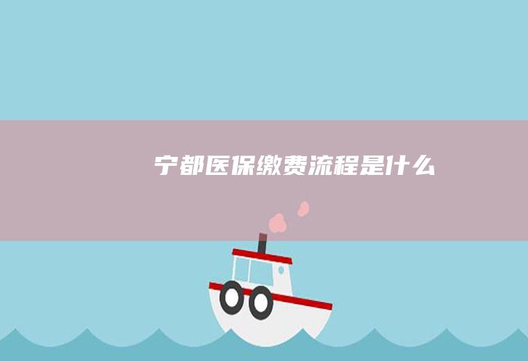 宁都医保缴费流程是什么