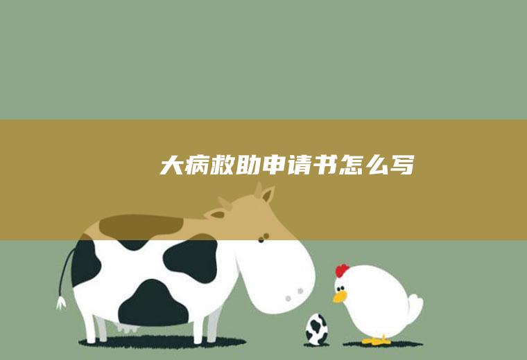 大病救助申请书怎么写