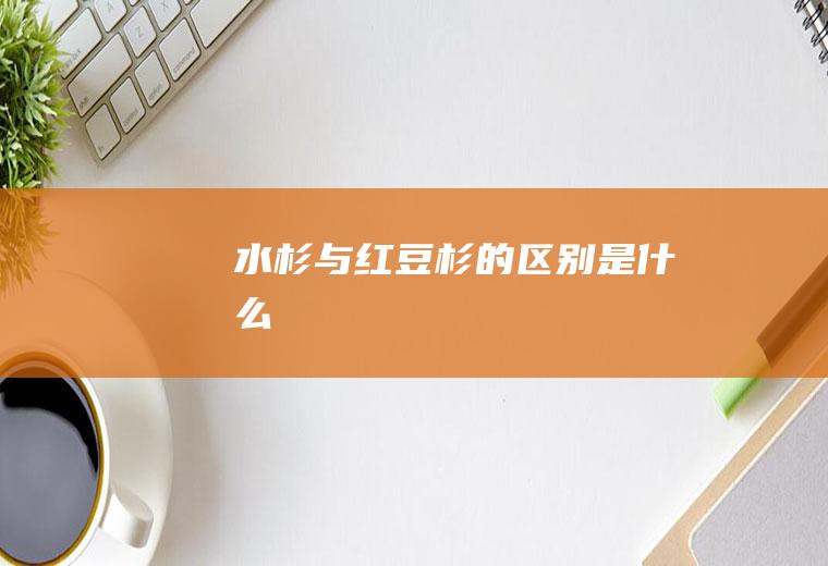 水杉与红豆杉的区别是什么