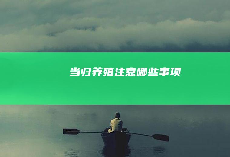 当归养殖注意哪些事项