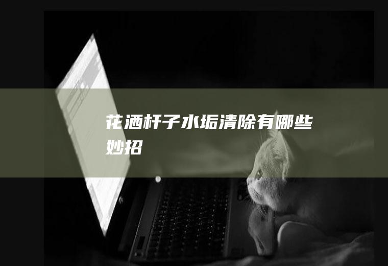花洒杆子水垢清除有哪些妙招