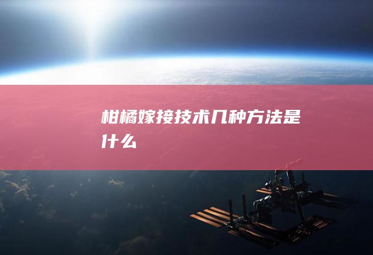 柑橘嫁接技术几种方法是