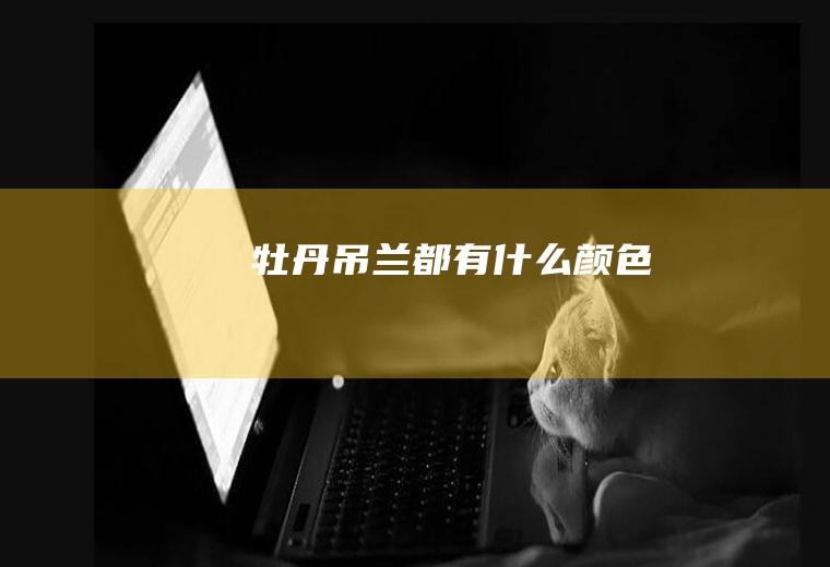 都有颜色