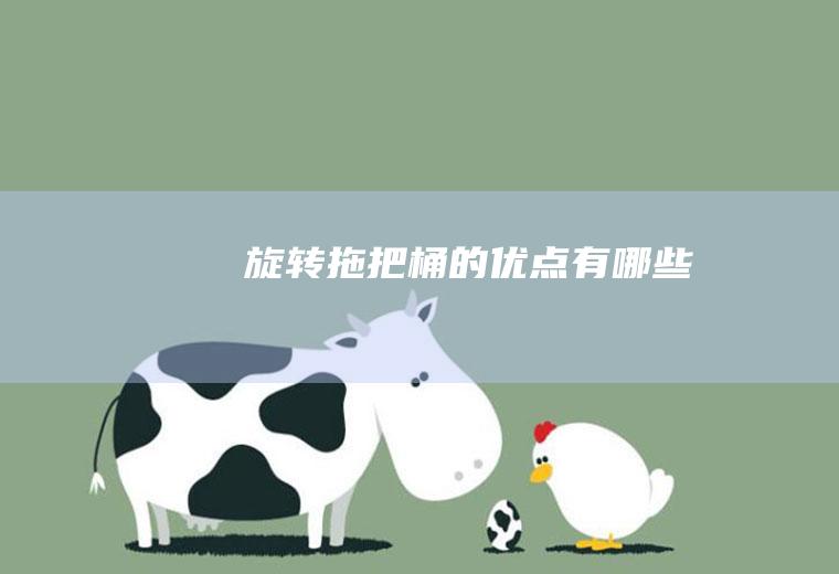 旋转拖把桶的优点有哪些