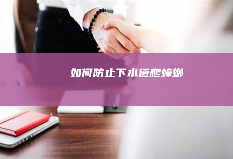 如何防止下水道爬蟑螂
