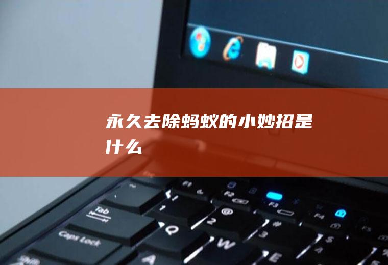 永久去除蚂蚁的小妙招是什么