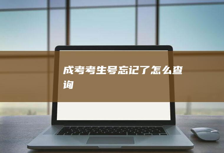 成考考生号忘记了怎么查询
