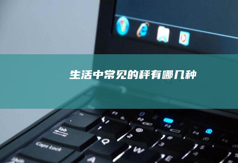 生活中常见的秤有哪几种