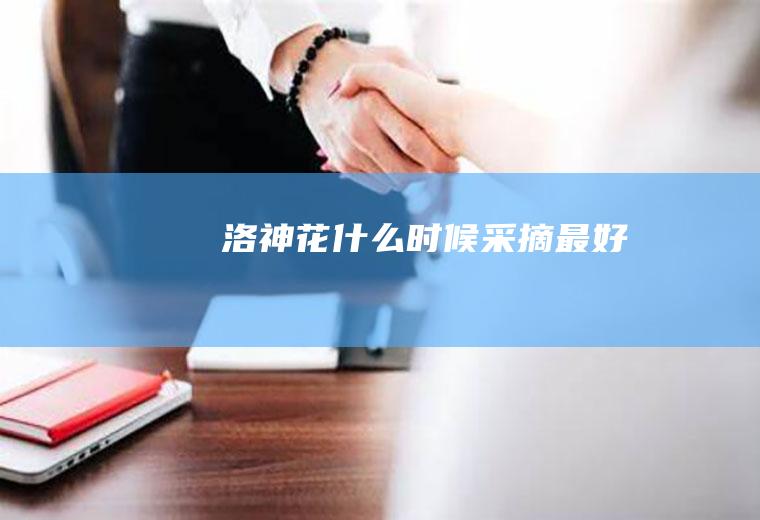 洛神花时候采摘最好