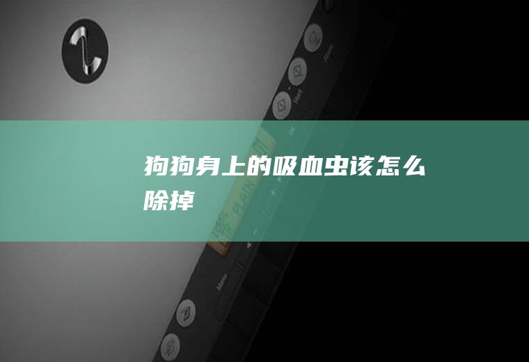 狗狗身上的吸血虫该怎么除掉