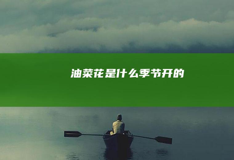 油菜花是什么季节开的