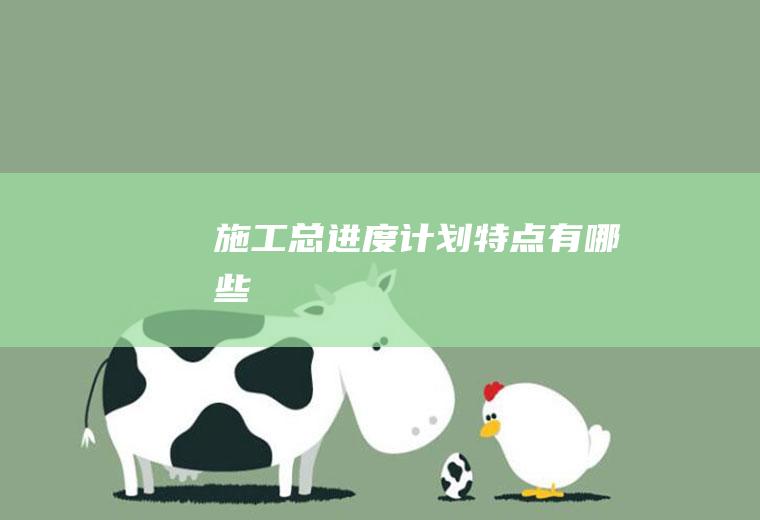 施工总进度计划特点有哪些