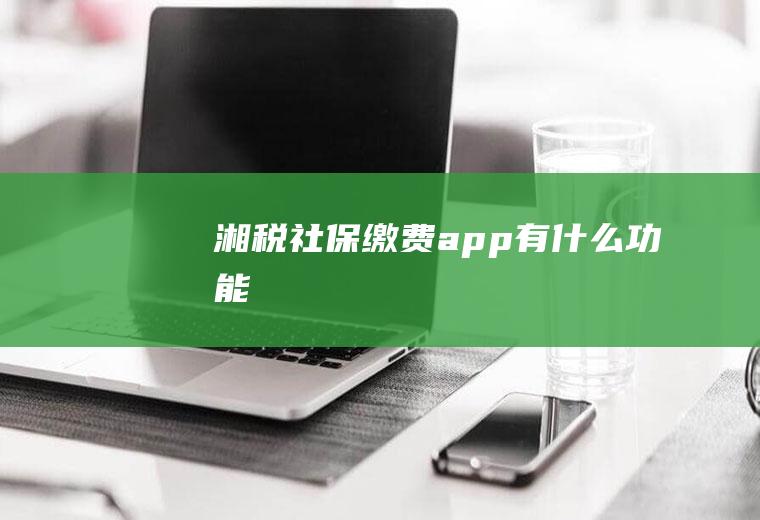 湘税社保缴费app有什么功能