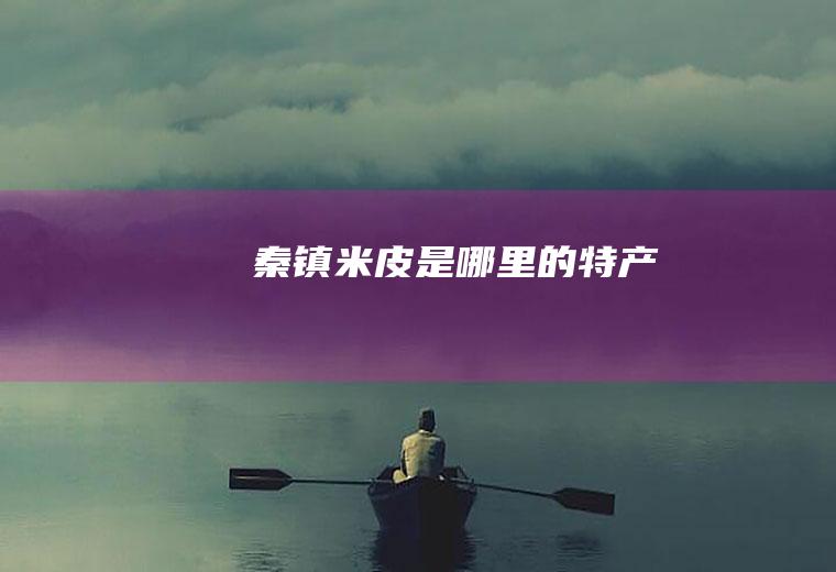 秦镇米皮是哪里的特产