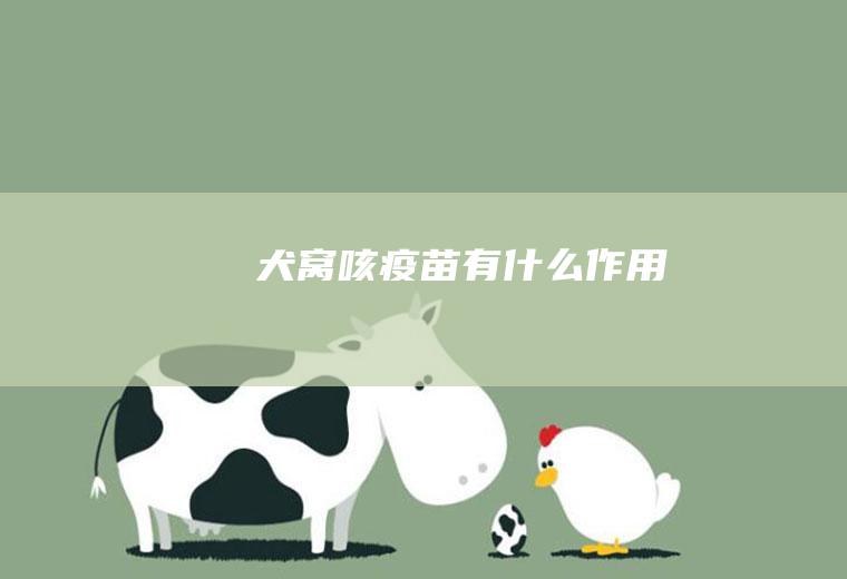 犬窝咳疫苗有什么作用