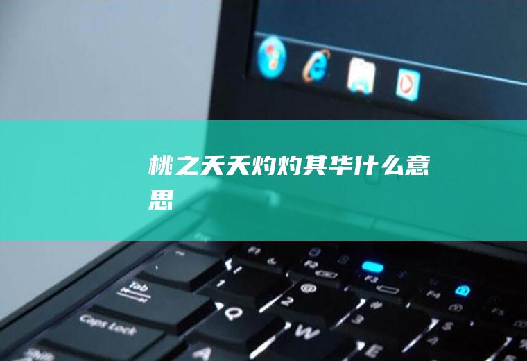 桃之夭夭灼灼其华什么意思
