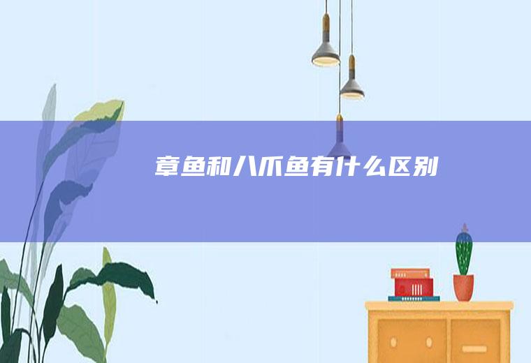 章鱼和八爪鱼有什么区别