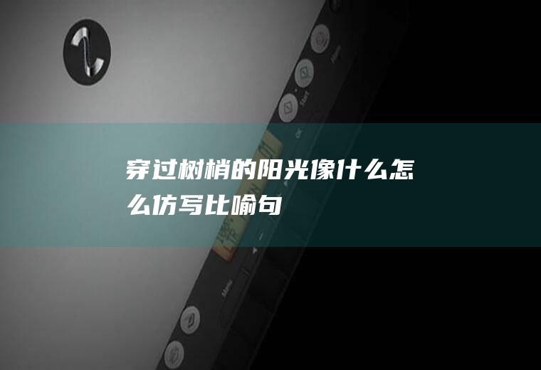 穿过树梢的阳光像什么怎么仿写比喻句