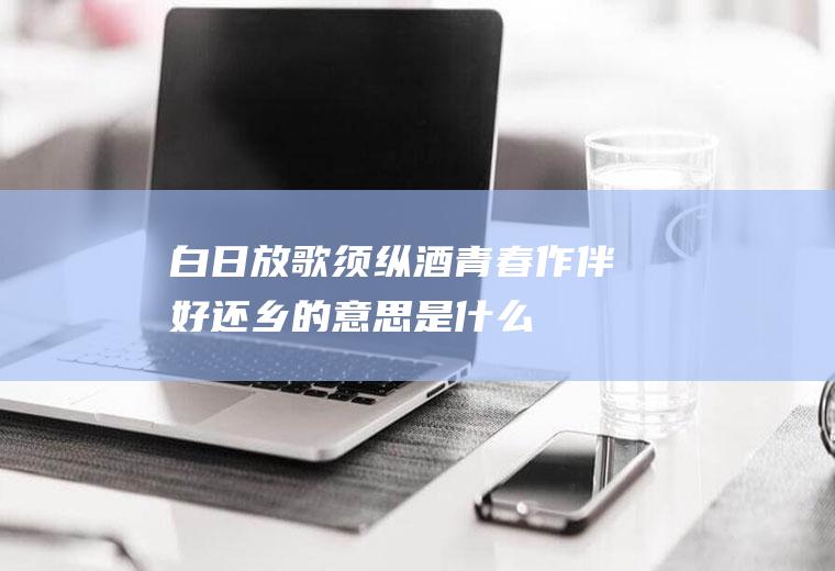 白日放歌须纵酒青春作伴好还乡的意思是什么