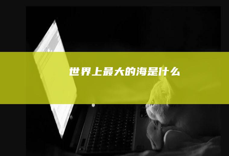世界上最大的海是什么